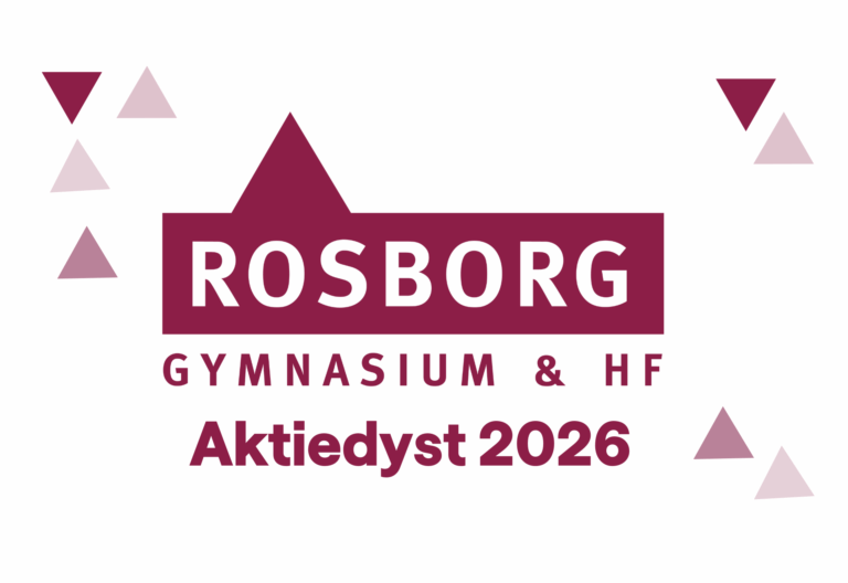 Økonomisk dannelse i praksis på Rosborg